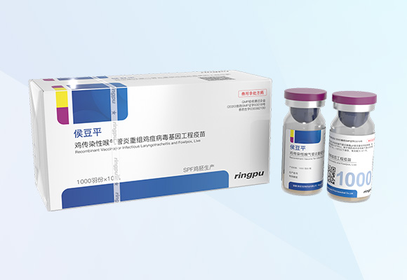 ÓŵÂ88(ÖйúÇø)¹Ù·½ÍøÕ¾