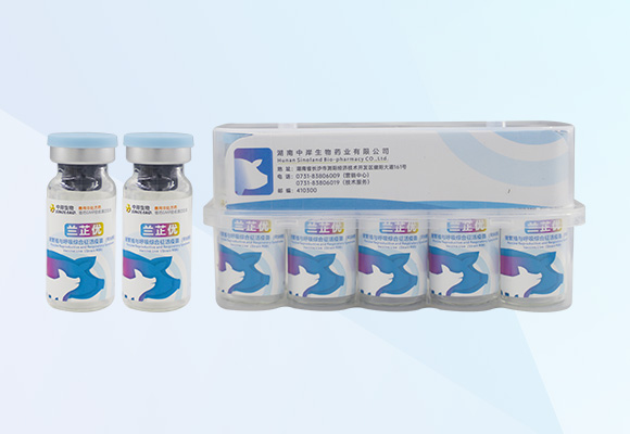 ÓŵÂ88(ÖйúÇø)¹Ù·½ÍøÕ¾