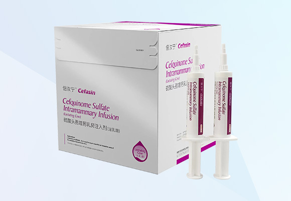 ÓŵÂ88(ÖйúÇø)¹Ù·½ÍøÕ¾