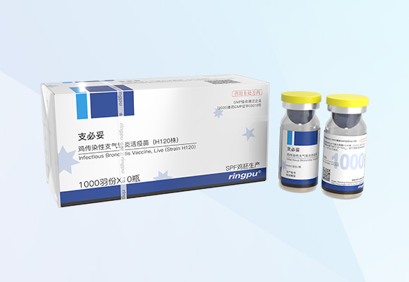 ÓŵÂ88(ÖйúÇø)¹Ù·½ÍøÕ¾