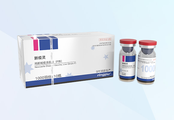 ÓŵÂ88(ÖйúÇø)¹Ù·½ÍøÕ¾