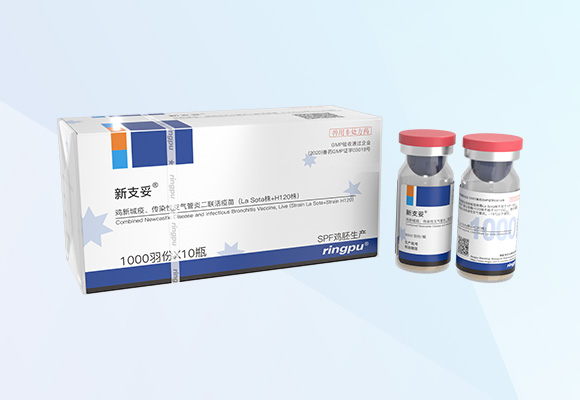 ÓŵÂ88(ÖйúÇø)¹Ù·½ÍøÕ¾